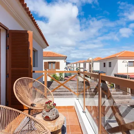 Alcaudón Holidayfv