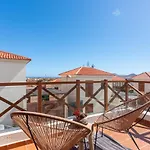 Alcaudon Holidayfv